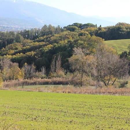 Agriturismo La Ginestrella Civitella D'Arna Buitenkant foto