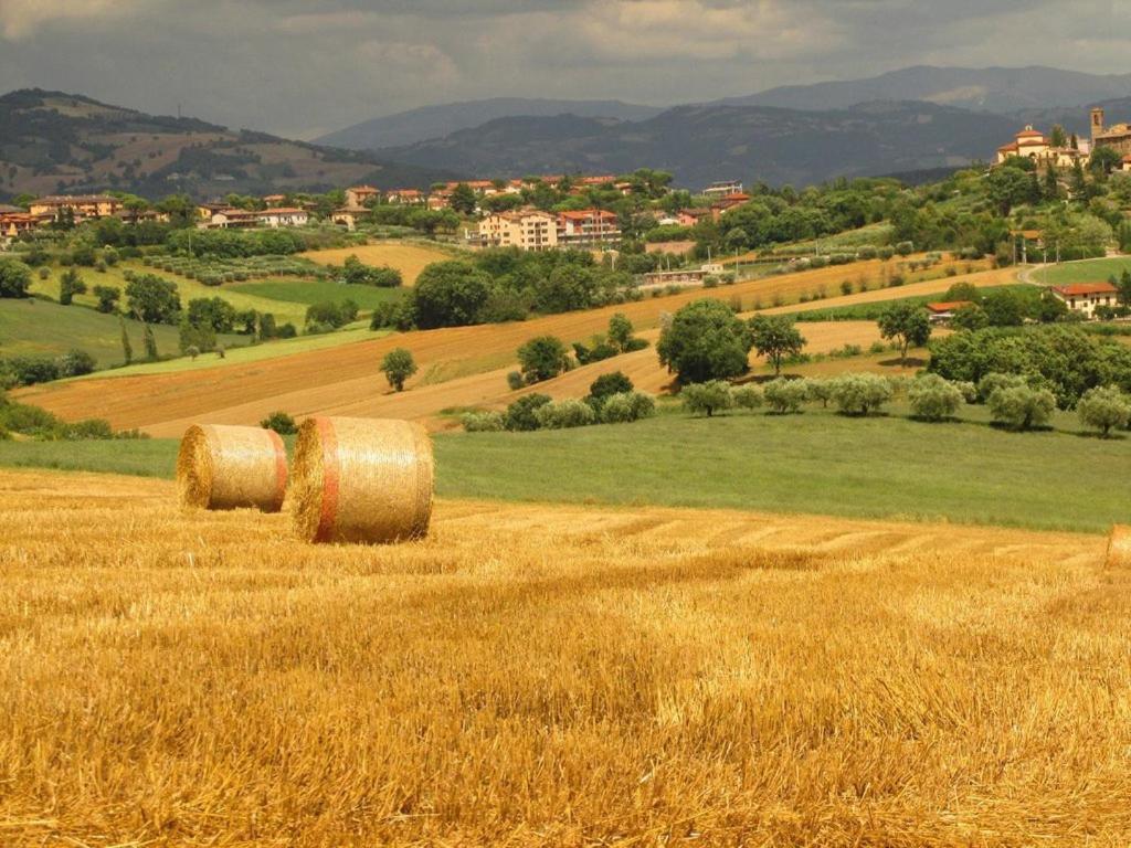 Agriturismo La Ginestrella Civitella D'Arna Buitenkant foto